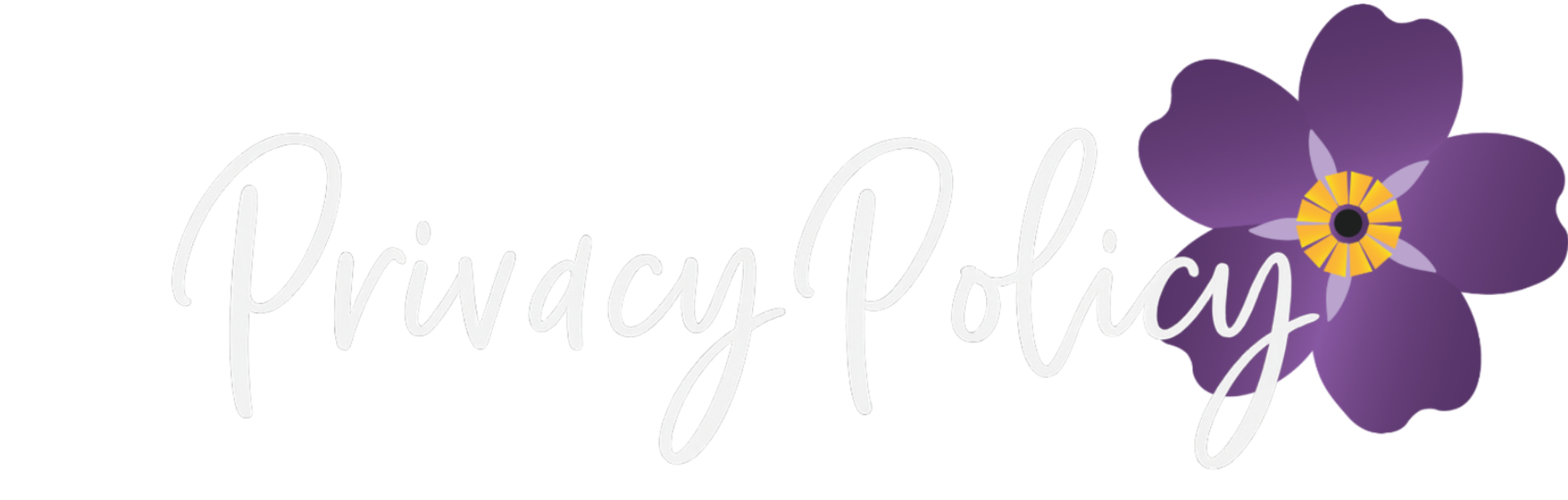 privacy policy